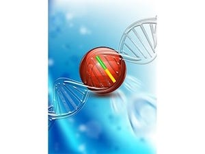 理研、DNA修復タンパク質で「ポリメラーゼ連鎖反応」の精度の向上に成功