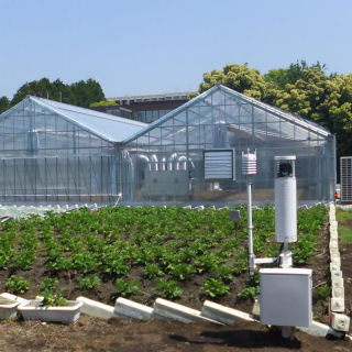 富士通、食・農クラウド実現に向けた検証・実践の場「Akisai農場」開設
