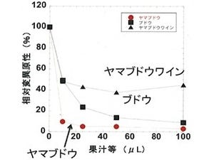 岡山大、ヤマブドウ果汁が皮膚がんの発症を抑制することを発見