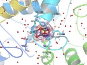 IMSなど、従来は不可能だった光合成の中核反応のシミュレーションに成功