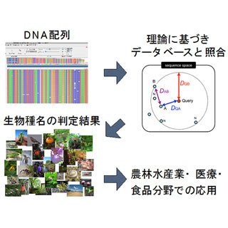京大、あらゆる生物の名前をDNAに基づき特定する技術の理論的枠組みを確立
