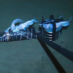 下町が作った深海探査ロボット「江戸っ子1号」 - 深海で魚類の撮影に成功