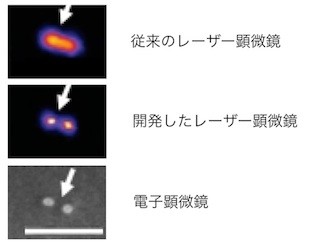 阪大、金ナノ粒子に強い光を照射すると光の散乱効果が飽和することを発見