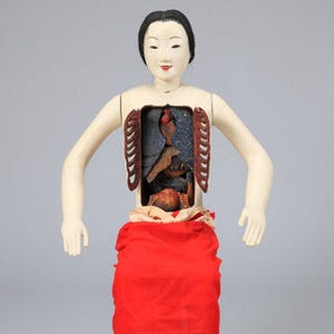 東京都・上野で「医は仁術」展 - 臓器の3Dプリンタモデルや鉄拳の漫画も