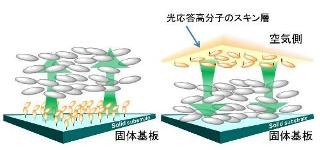 名大、空気界面を利用した液晶分子の光配向技術を開発