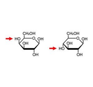 光合成膜の常識覆し、糖脂質の機能解明