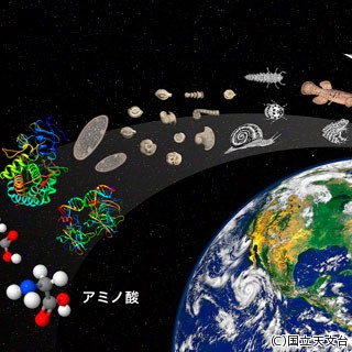 国立天文台、宇宙でアミノ酸のもとを検出 - 地球外生命の可能性高まる