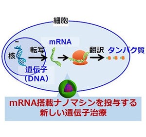 mRNA投与の治療にナノミセルで道開く