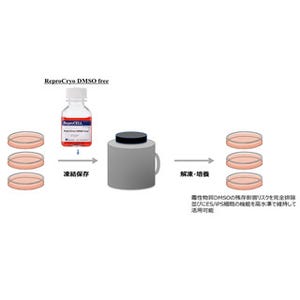 京大とリプロセル、毒性のないES/iPS細胞用の凍結保存液を開発