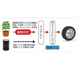 横浜ゴムなど、バイオマスからイソプレンを合成 - 合成天然ゴムの原料