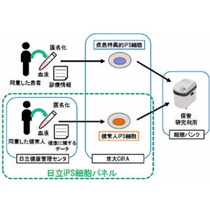 日立と京大CiRA、健常人iPS細胞パネルの構築に向けた協力に合意