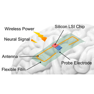 豊技大、脳の表面に貼り付けられる無線電力電装デバイス