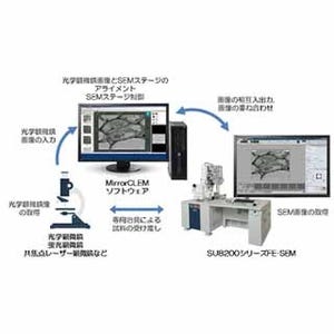 日立ハイテク、光-電子相関顕微鏡法(CLEM)用システム「MirrorCLEM」を発売