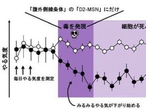 慶応大と生理研ら、脳内の「やる気スイッチ」発見-意欲障害の治療に展開