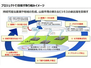 NTT東日本など、IoTなどを応用した「アグリイノベーション Lab@山梨市」