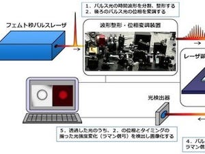 農工大、染色不要で小さな分子の濃度分布を撮影できる顕微鏡の開発に成功