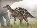 北大、日本初の恐竜「ニッポノサウルス」の成長段階と分類学上の謎を解明