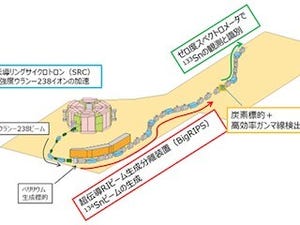 理研、非束縛状態でのガンマ崩壊を発見-電磁相互作用が強い相互作用に拮抗