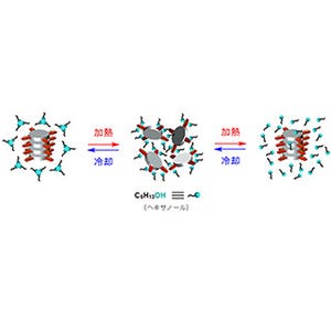 加熱・冷却、どちらの操作でも形成できる超分子ポリマー - 理研が開発