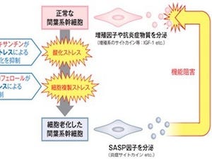 富士フイルム、細胞老化を抑制する独自成分を開発- 肌弾力やシワ改善に期待