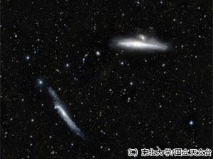 東北大と国立天文台、クジラ銀河で複数の矮小銀河などを発見