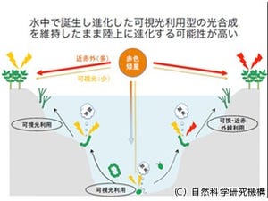 NINSなど、系外惑星における生命探査の指標となる光波長の検討結果を発表