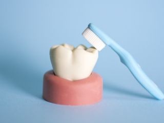 歯周病が効率的に治療可能に - 東北大がラジカルを応用した殺菌法を実証