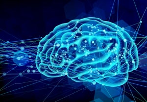 リコー、米国市場の脳磁計測システム事業に参入 - 独自システムを開発