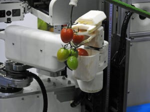 パナソニック、「トマト収穫ロボット」で農業の深刻な人手不足解消へ - iREX 2017