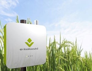 ソフトバンク、11月からコロンビアの稲作に農業AIブレーン「e-kakashi」