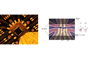 理研など、シリコン量子ドット中の電子スピンによるユニバーサル操作を実証