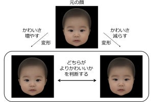 かわいいと思われやすい赤ちゃんの顔画像、物理的特徴を操作して阪大が作成