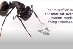 近未来テクノロジー見聞録 第58回 アリの頭より小さい!?　史上最小の人工飛行物は何に役立つ？
