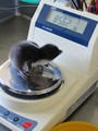 ふわふわまんまる85グラム! 旭山動物園でイワトビペンギンの赤ちゃん誕生