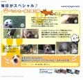 11月1日の「犬の日」にサイトオープン - 「毎日がスペシャル♪」ペット編