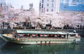 発着地は札幌から沖縄まで 屋形船で桜を満喫する 隅田川お花見プラン マイナビニュース