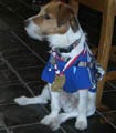 犬も走ればメダルに当たる? ペットOKのプラハマラソンに参加