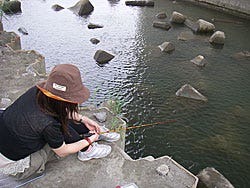 最も検索 川エビ 食用