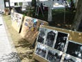 東川町フォトフェスタで、写真の保存術が学べるセミナー開催