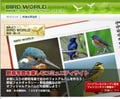 興和、野鳥写真をオンラインアルバムで楽しむサービス「BIRD WORLD」開始