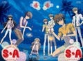 寒くなっても気分は真夏!? DVD『S・A～スペシャル・エー～』第四巻が登場