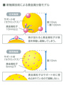 マツダ、貴金属の使用量を約70%削減 - シングルナノ触媒を実用化