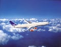 東京から北極圏の玄関口トロムソへ、直行便を運航--スカンジナビア航空