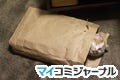 【アノ猫】"mizuhaさん流"ポッケの撮り方--ポッケのおなか(4)