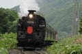 蒸気機関車撮影の名所、常紋峠で今年もC11形「SL常紋号」を運行 - JR北海道