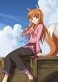 TVアニメ『狼と香辛料II』、2009年7月より放送開始! 追加キャラも続々登場