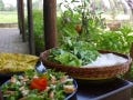 観光地めぐりでは味わえない体験を - ベトナム農村での料理教室