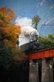 彩り豊かな秋の山と漆黒のSL列車 - 大井川鐵道が紅葉シーズンにSL増発