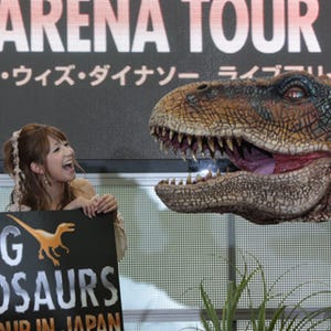 「婚活にもおススメ」矢口真里と本上まなみ、ド迫力の恐竜ライブに大興奮