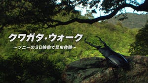 昆虫目線で見た森の世界を体験!-ソニーの3D映像体感イベントが都内2ヶ所で開催中